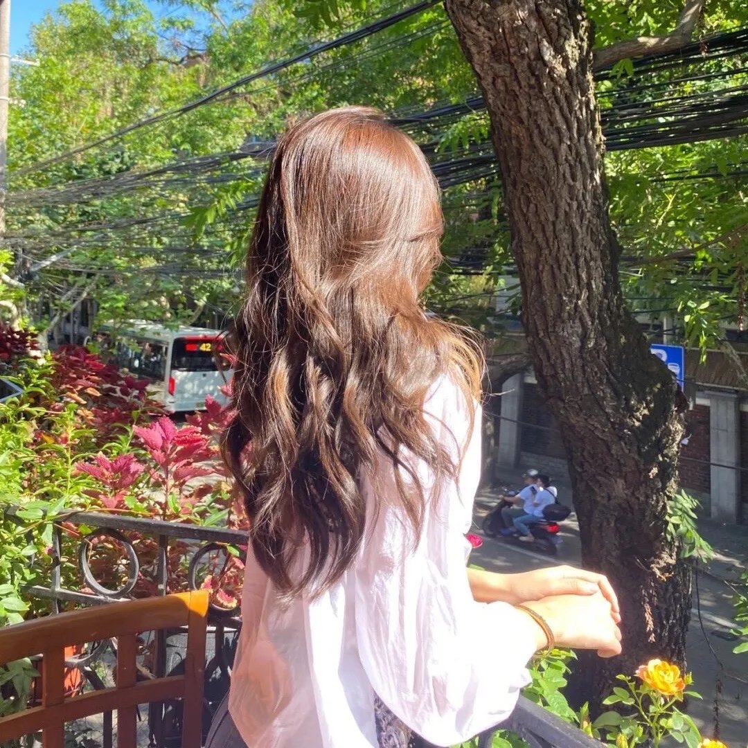 狗岛的宝藏